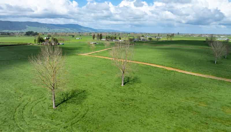353 Maiseys Road, Waharoa, Matamata