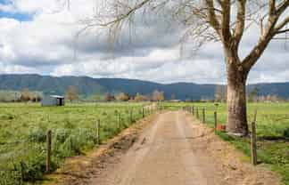 353 Maiseys Road, Waharoa, Matamata