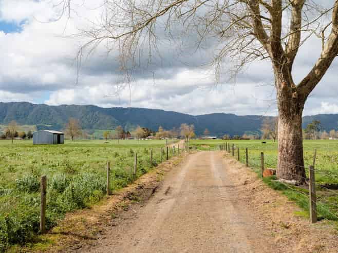 353 Maiseys Road, Waharoa, Matamata