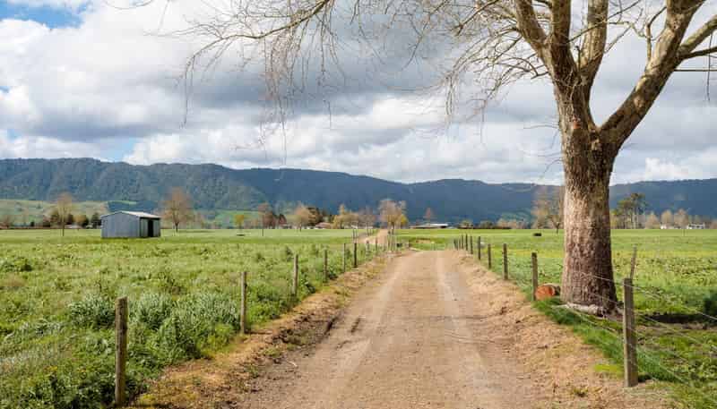 353 Maiseys Road, Waharoa, Matamata