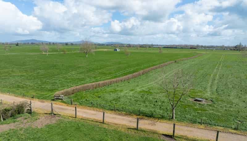353 Maiseys Road, Waharoa, Matamata
