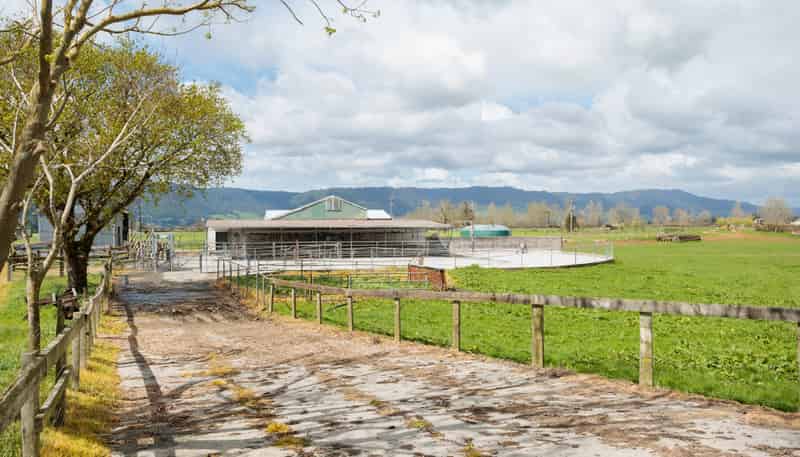 353 Maiseys Road, Waharoa, Matamata