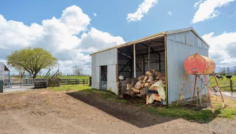 353 Maiseys Road, Waharoa, Matamata