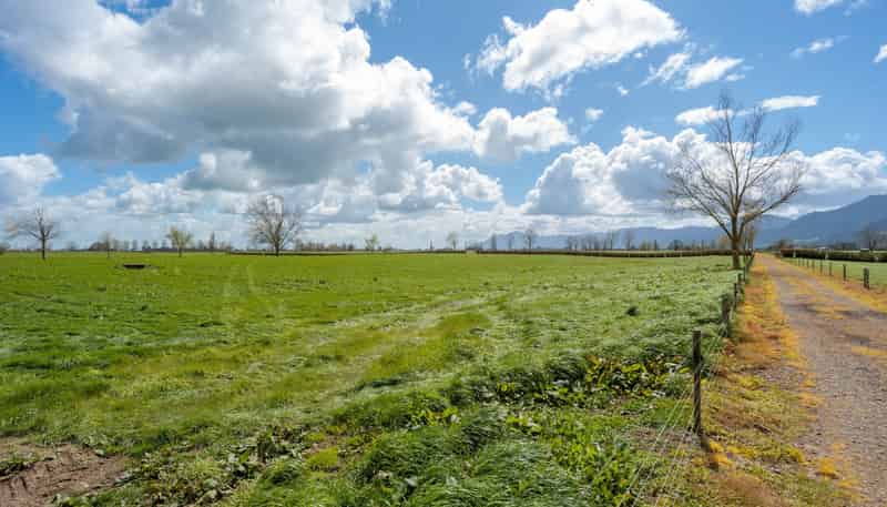 353 Maiseys Road, Waharoa, Matamata