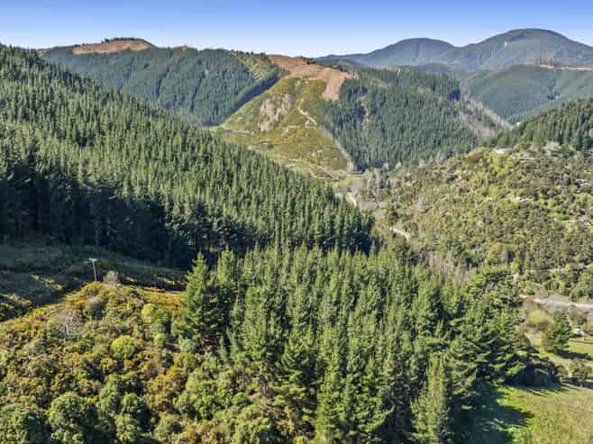 Lot 2, 207 Maitai Valley Road, Maitai
