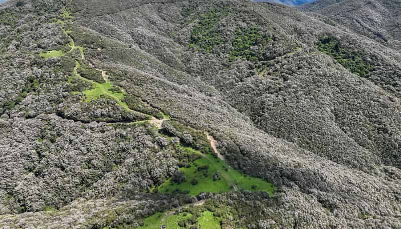 85696 State Highway 2, Mount Bruce