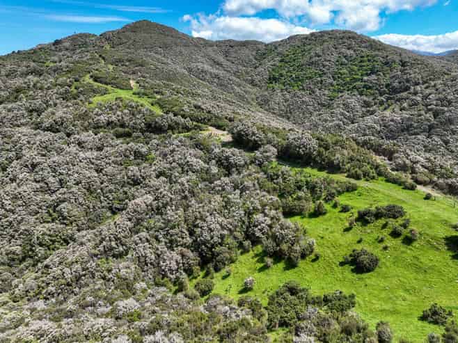 85696 State Highway 2, Mount Bruce