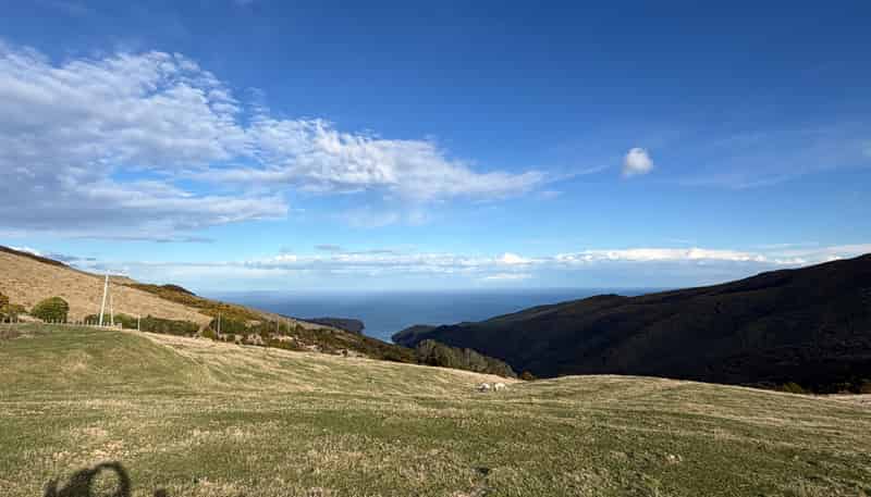 490 Long Bay Road, Akaroa