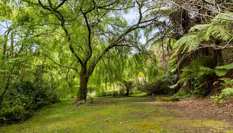134A Munro Road, Te Puna