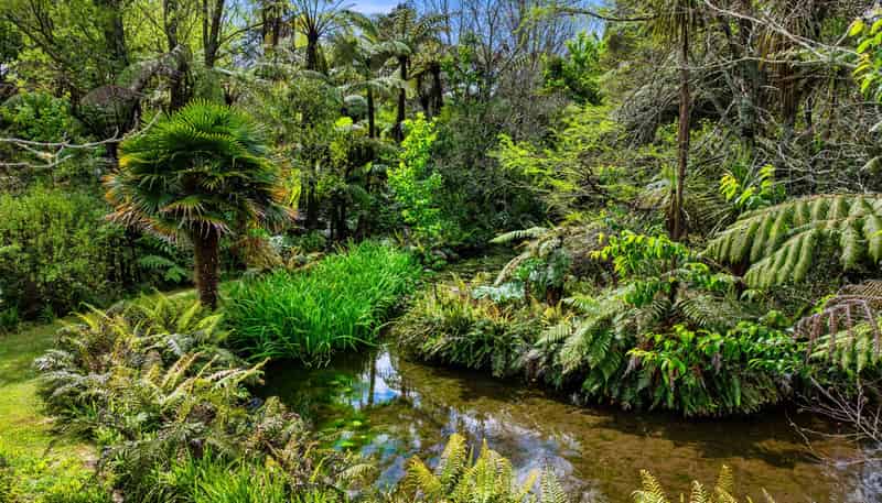134A Munro Road, Te Puna