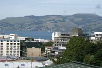 17B Serpentine Avenue, Dunedin Central
