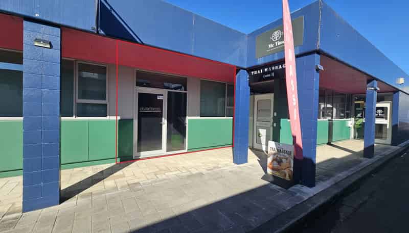 1a/115 Avenue Road East, Hastings
