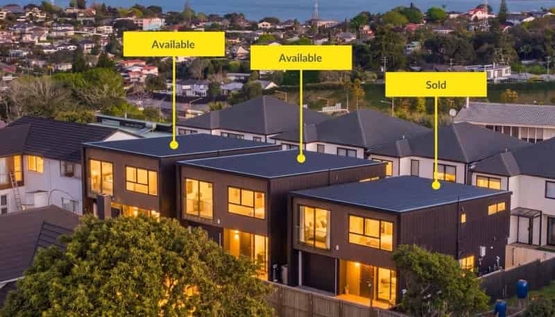 3A-B Aramutu Road, Hillsborough