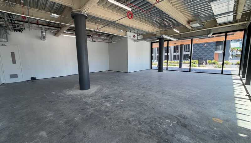 179 Collingwood Street, Hamilton Central