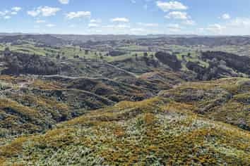 213 Hilford Road, Waiotira