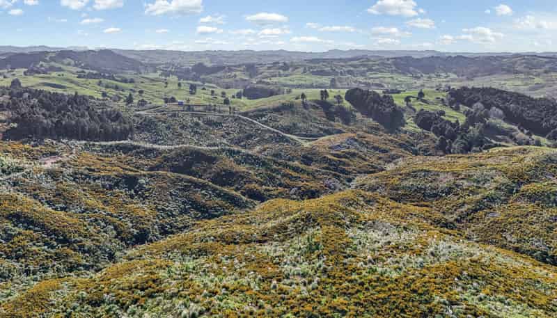 213 Hilford Road, Waiotira