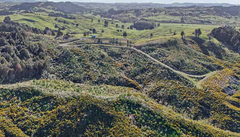 213 Hilford Road, Waiotira