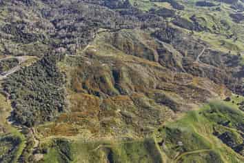 213 Hilford Road, Waiotira