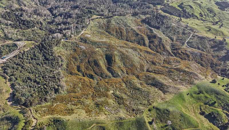 213 Hilford Road, Waiotira
