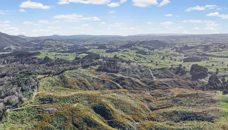 213 Hilford Road, Waiotira