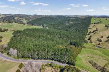 2458 Paparoa-Oakleigh Road, Maungaturoto