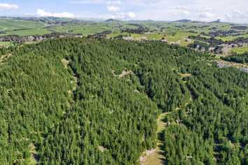  Hoyle Road and Wainui Road, Arapohue