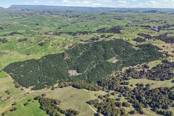  Hoyle Road and Wainui Road, Arapohue