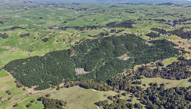  Hoyle Road and Wainui Road, Arapohue