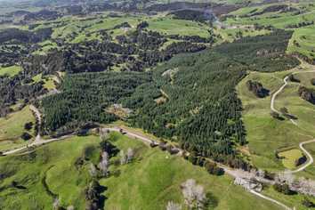  Hoyle Road and Wainui Road, Arapohue