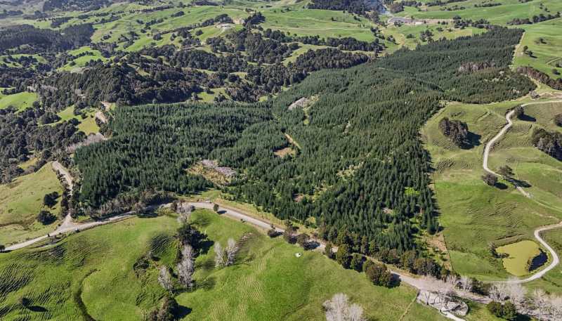  Hoyle Road and Wainui Road, Arapohue