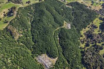  Hoyle Road and Wainui Road, Arapohue