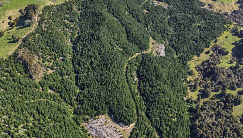  Hoyle Road and Wainui Road, Arapohue
