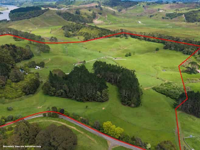 316 Bluff Road, Pokeno