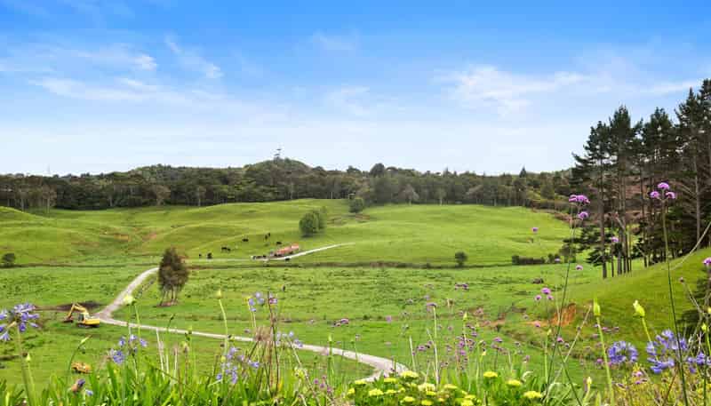 316 Bluff Road, Pokeno
