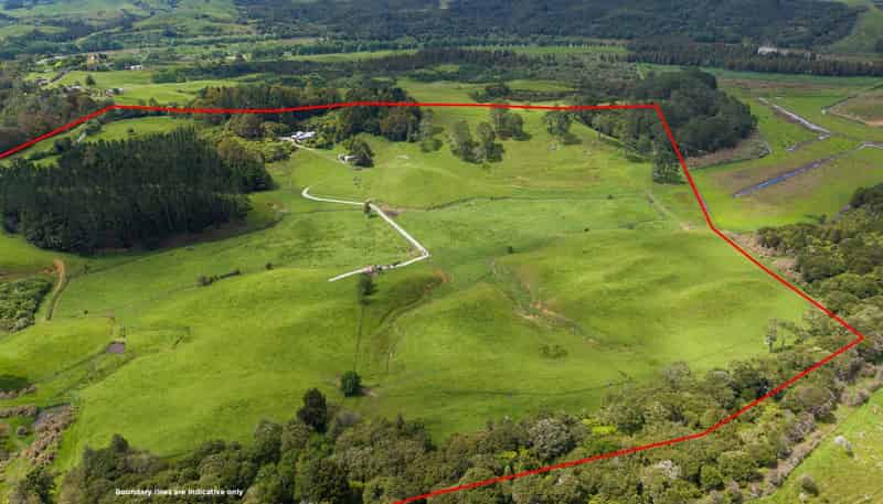 316 Bluff Road, Pokeno