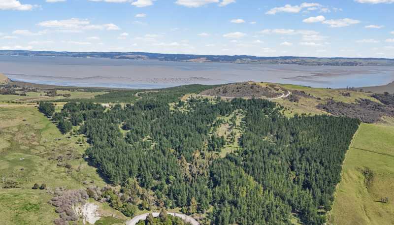  Te Kowhai Road, Ruawai