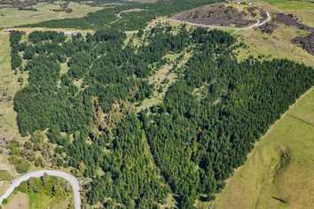  Te Kowhai Road, Ruawai