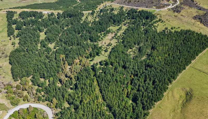  Te Kowhai Road, Ruawai