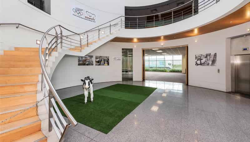 18 Ron Driver Place, East Tamaki