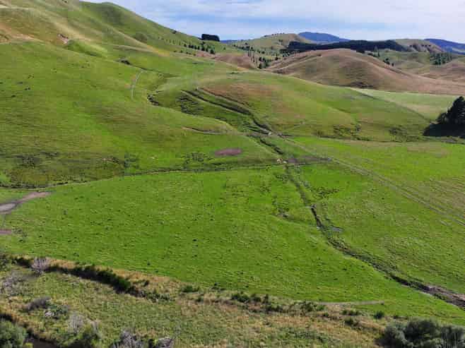  Mikimiki Road, Masterton