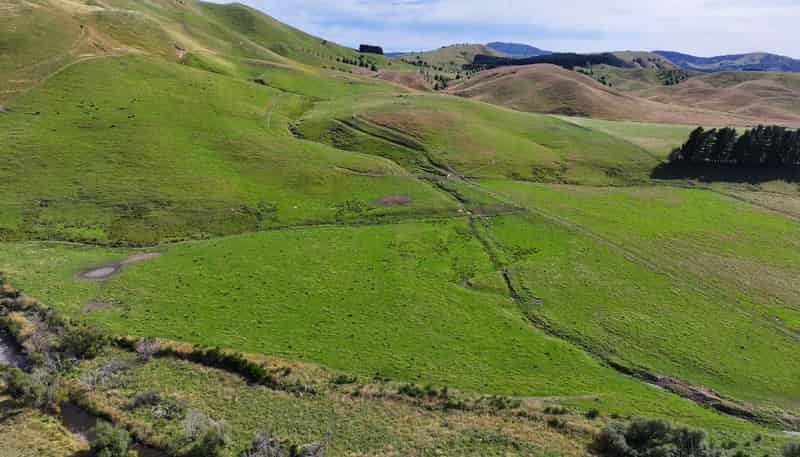 Mikimiki Road, Masterton