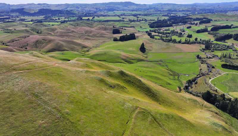  Mikimiki Road, Masterton