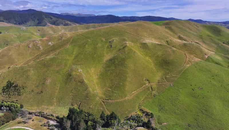  Mikimiki Road, Masterton