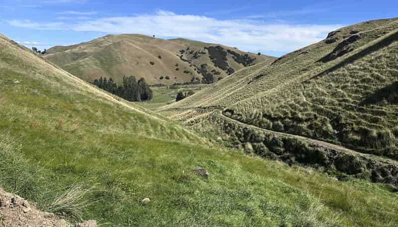  Mikimiki Road, Masterton
