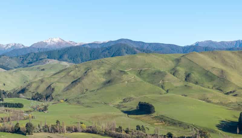  Mikimiki Road, Masterton