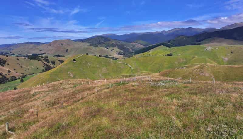  Mikimiki Road, Masterton