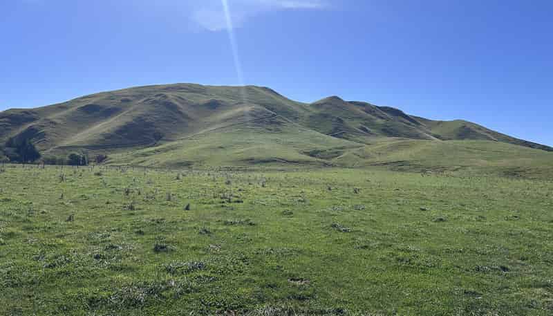  Mikimiki Road, Masterton