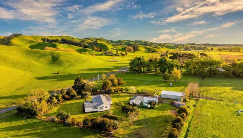 559 Raukawa Road, Raukawa