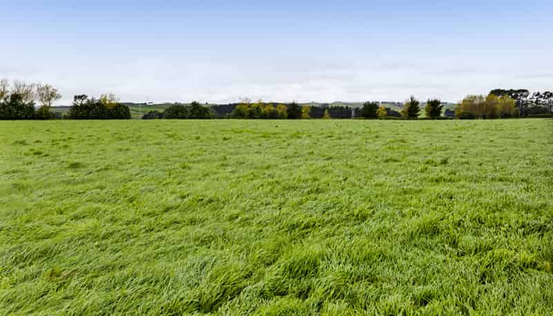 624 Meremere Road, Hawera