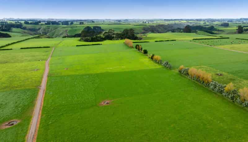 624 Meremere Road, Hawera